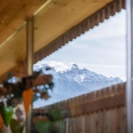 Alpin, 1 * Neustift im Stubaital
